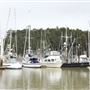 Noyo Harbor District