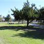 Arcadia Community Park