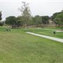 Frank G. Bonelli Regional Park / Puddingstone Reservoir