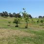 Kenneth Hahn State Recreational Area (SRA) administered by Los Angeles County