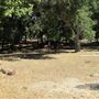 Placerita Canyon State Park (SP) / Placerita Canyon Natural Area / Placerita Nature Center
