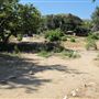 Placerita Canyon State Park (SP) / Placerita Canyon Natural Area / Placerita Nature Center