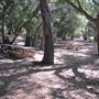 Placerita Canyon State Park (SP) / Placerita Canyon Natural Area / Placerita Nature Center