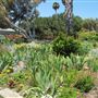South Coast Botanic Garden