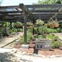 South Coast Botanic Garden