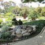 South Coast Botanic Garden