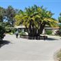 South Coast Botanic Garden