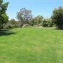 South Coast Botanic Garden