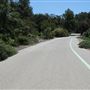 South Coast Botanic Garden