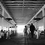 Monterey County Fair - 7th DAA