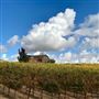 Rancho Deeluxe - Paso Robles - San Luis Obispo County