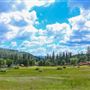 Camp Tawonga