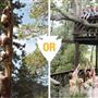 UCLA Lake Arrowhead Lodge - Conference Center & Family Resort