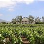 Agua Dulce Winery and Vineyards
