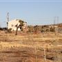 High Desert Gem - Fisher Family Desert Farm