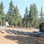Camp Lakota