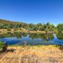 Oreana Winery & Vineyard - Fisco
