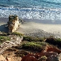 El Matador State Beach @ Robert H. Meyer Memorial State Beach (SB) - CFC