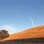 Enney Ranch @ Paso Robles