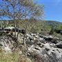 Kaweah River Bridge 1923 / Pumpkin Hollow Bridge