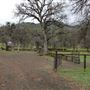Payne's Creek