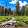 Lassen Volcanic National Park