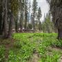 Lassen Volcanic National Park