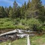 Lassen Volcanic National Park
