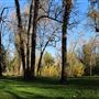 Samuel Ayer Park