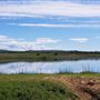 Payne's Creek Wetlands