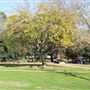 Ridgeway Park