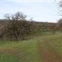 Sacramento River Bend