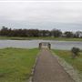 Sacramento River Bend