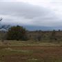 Sacramento River Bend