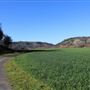 Meadowbrook Ranch