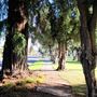 Woodson Park