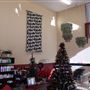 Wavelengths Salon