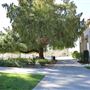Whittier College