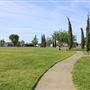 Olivehurst