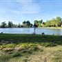 Ellis Lake