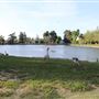 Ellis Lake