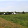 Wheatland