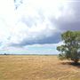 Various Rural Farms And Ranches