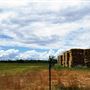 Various Rural Farms And Ranches