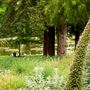 William Land Regional Park