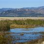 McGrath State Beach (SB)
