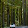 Navarro River Redwoods State Park (SP)