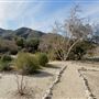 Placerita Canyon State Park (SP) / Placerita Canyon Natural Area / Placerita Nature Center