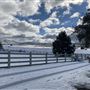 Red Skelton ranch