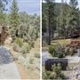 Pine Mountain Club Cabin
